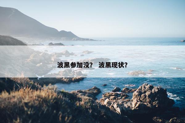 波黑参加没？ 波黑现状？