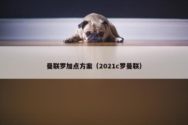 曼联罗加点方案（2021c罗曼联）