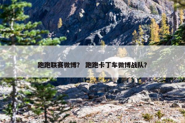 跑跑联赛微博？ 跑跑卡丁车微博战队？