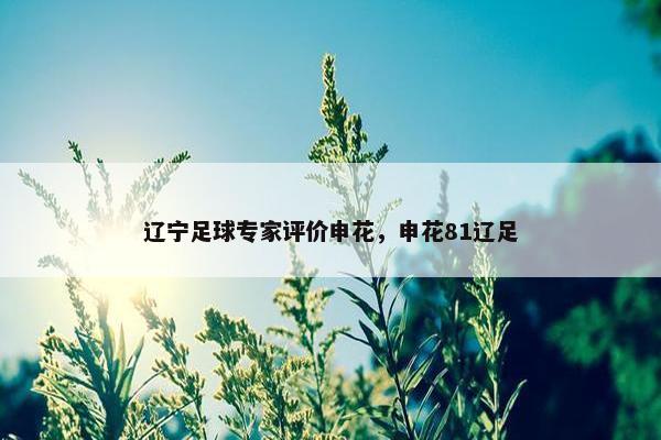 辽宁足球专家评价申花，申花81辽足