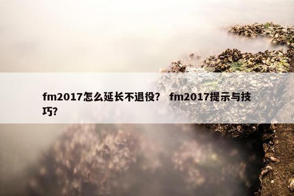 fm2017怎么延长不退役？ fm2017提示与技巧？