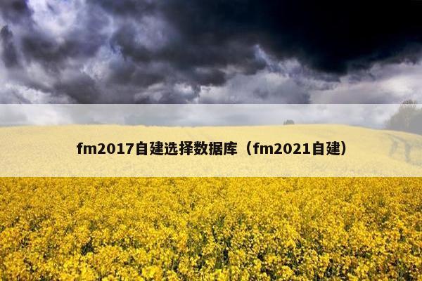 fm2017自建选择数据库（fm2021自建）