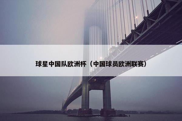 球星中国队欧洲杯（中国球员欧洲联赛）