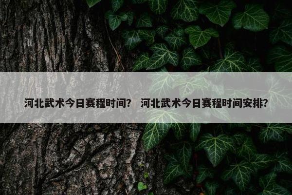 河北武术今日赛程时间？ 河北武术今日赛程时间安排？