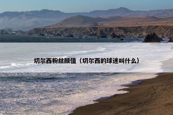 切尔西粉丝颜值（切尔西的球迷叫什么）