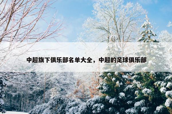 中超旗下俱乐部名单大全，中超的足球俱乐部
