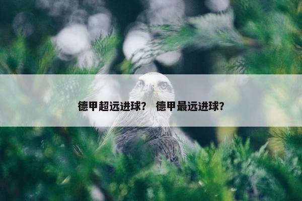 德甲超远进球？ 德甲最远进球？