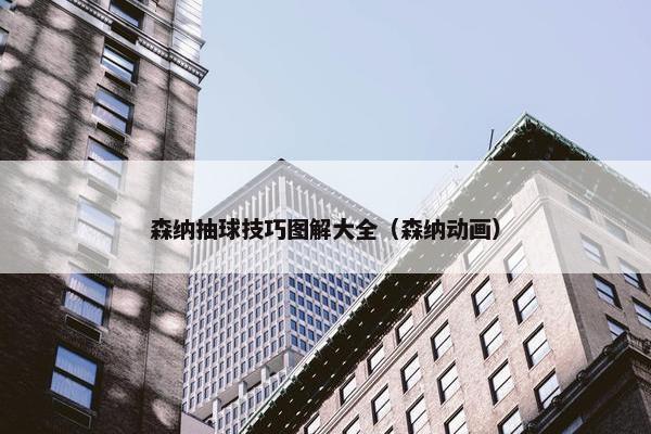 森纳抽球技巧图解大全（森纳动画）