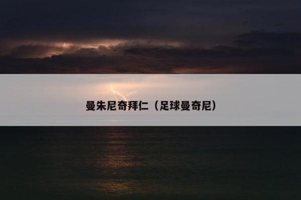 曼朱尼奇拜仁（足球曼奇尼）