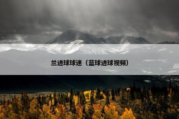 兰进球球迷（蓝球进球视频）