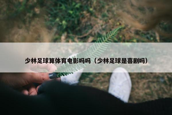 少林足球算体育电影吗吗（少林足球是喜剧吗）