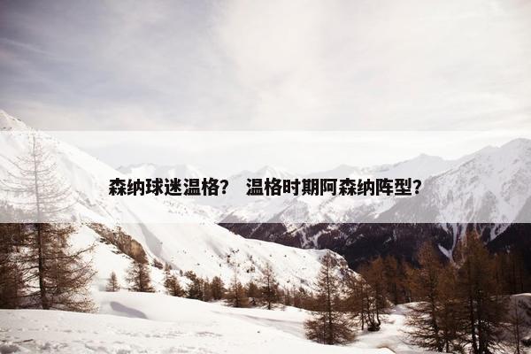 森纳球迷温格？ 温格时期阿森纳阵型？