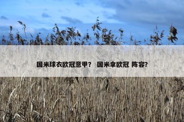 国米球衣欧冠意甲？ 国米拿欧冠 阵容？