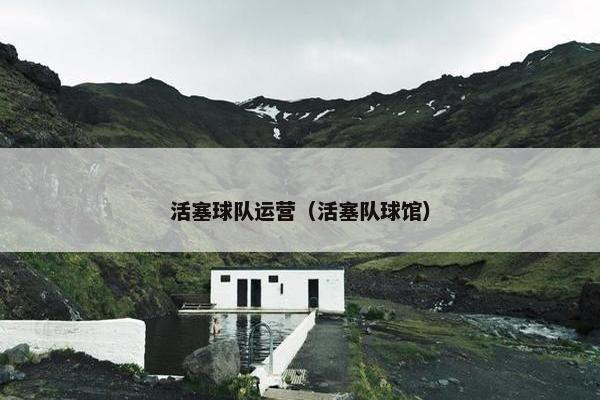 活塞球队运营（活塞队球馆）
