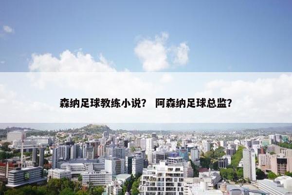森纳足球教练小说？ 阿森纳足球总监？