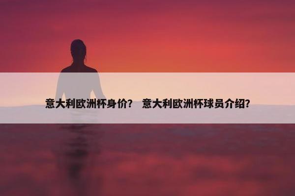 意大利欧洲杯身价？ 意大利欧洲杯球员介绍？