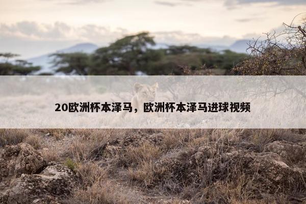 20欧洲杯本泽马，欧洲杯本泽马进球视频