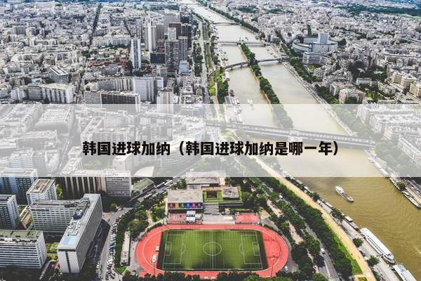韩国进球加纳（韩国进球加纳是哪一年）