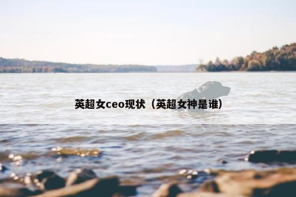 英超女ceo现状（英超女神是谁）
