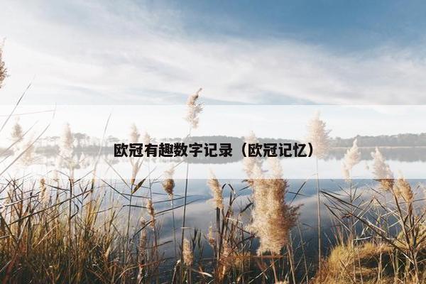 欧冠有趣数字记录（欧冠记忆）