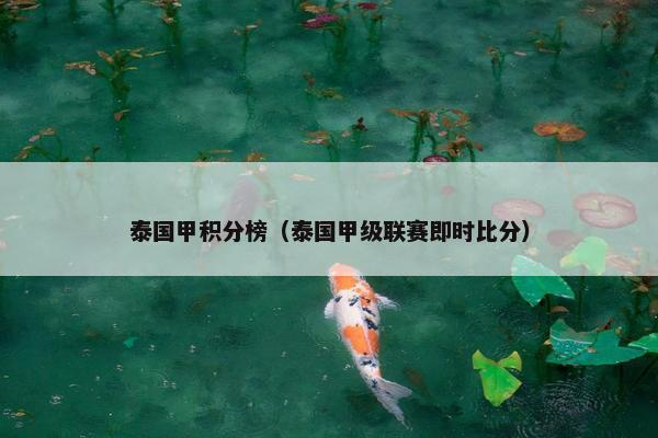 泰国甲积分榜（泰国甲级联赛即时比分）