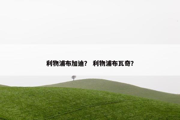 利物浦布加迪？ 利物浦布瓦奇？