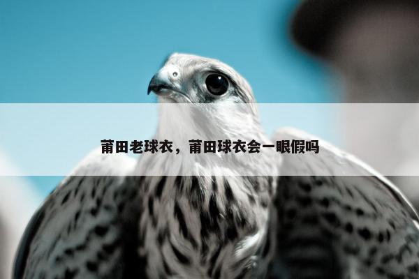 莆田老球衣，莆田球衣会一眼假吗