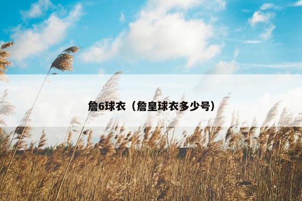詹6球衣（詹皇球衣多少号）