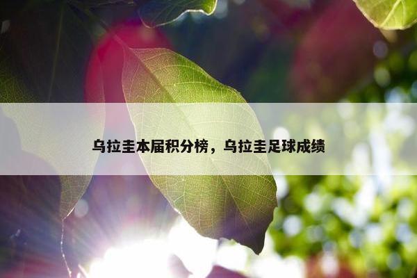 乌拉圭本届积分榜，乌拉圭足球成绩