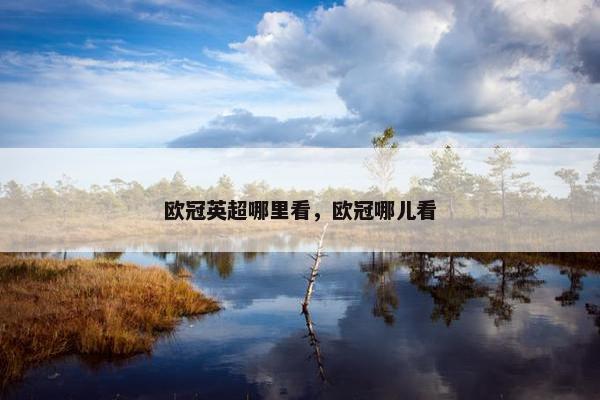 欧冠英超哪里看，欧冠哪儿看