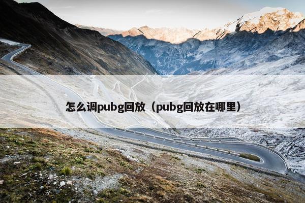 怎么调pubg回放（pubg回放在哪里）