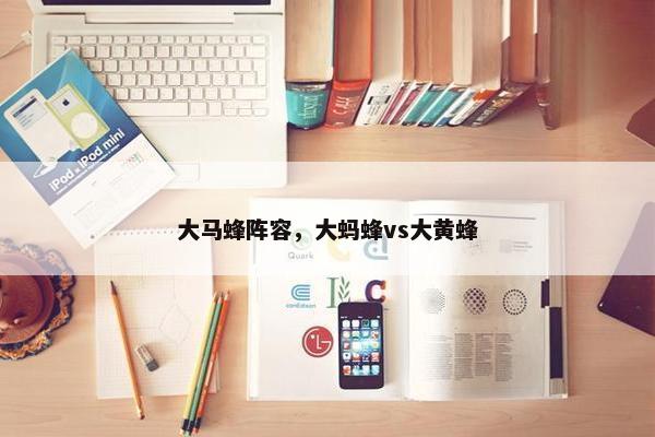 大马蜂阵容，大蚂蜂vs大黄蜂