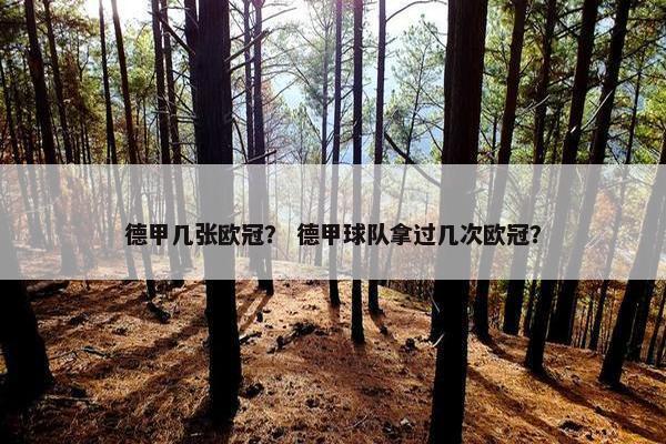 德甲几张欧冠？ 德甲球队拿过几次欧冠？