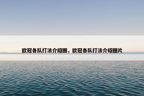 欧冠各队打法介绍图，欧冠各队打法介绍图片