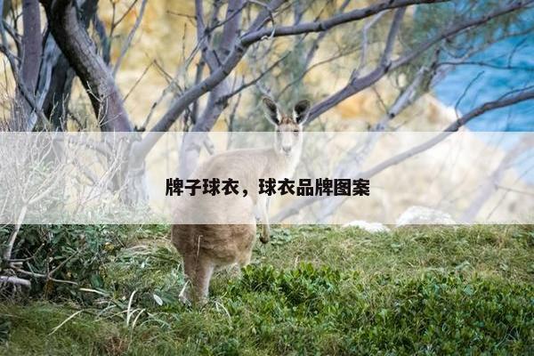 牌子球衣，球衣品牌图案