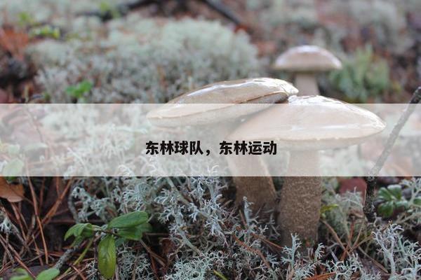东林球队，东林运动