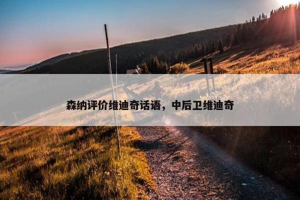 森纳评价维迪奇话语，中后卫维迪奇