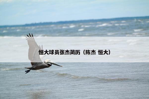 恒大球员张杰简历（陈杰 恒大）