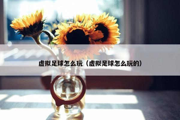 虚拟足球怎么玩（虚拟足球怎么玩的）