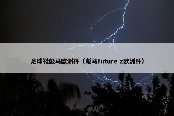 足球鞋彪马欧洲杯（彪马future z欧洲杯）