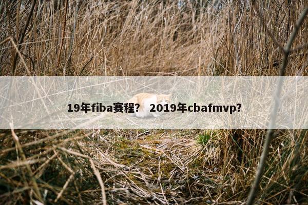19年fiba赛程？ 2019年cbafmvp？