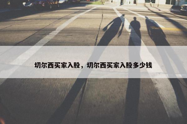切尔西买家入股，切尔西买家入股多少钱