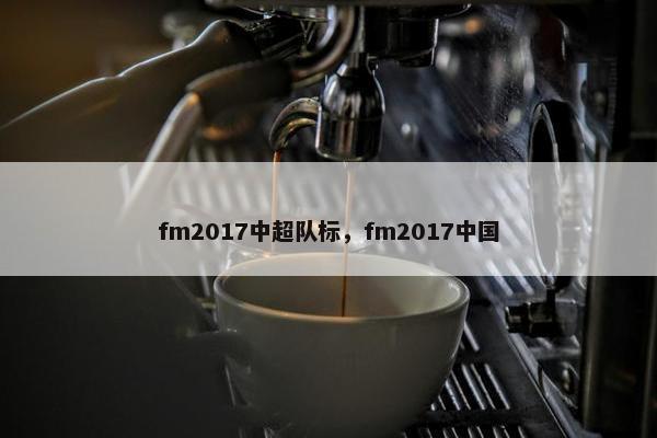 fm2017中超队标，fm2017中国