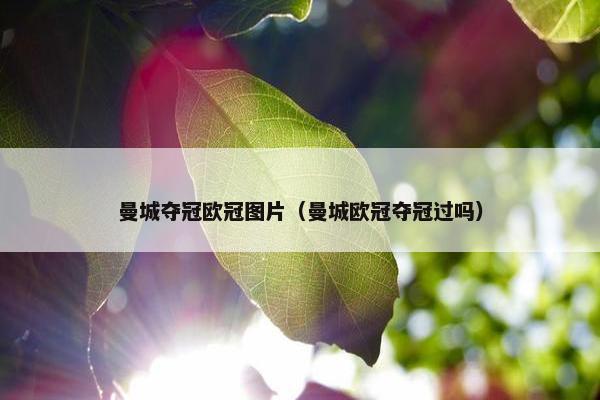 曼城夺冠欧冠图片（曼城欧冠夺冠过吗）