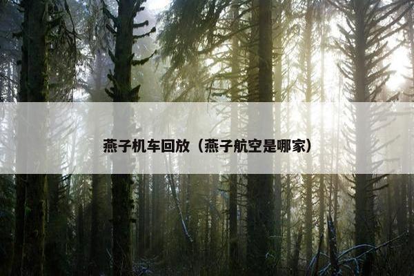 燕子机车回放（燕子航空是哪家）