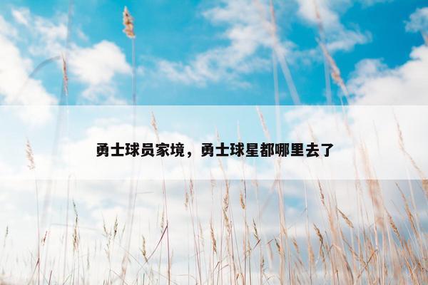 勇士球员家境，勇士球星都哪里去了