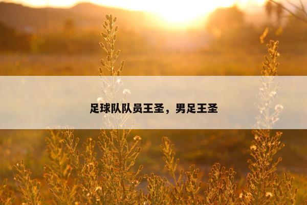 足球队队员王圣，男足王圣