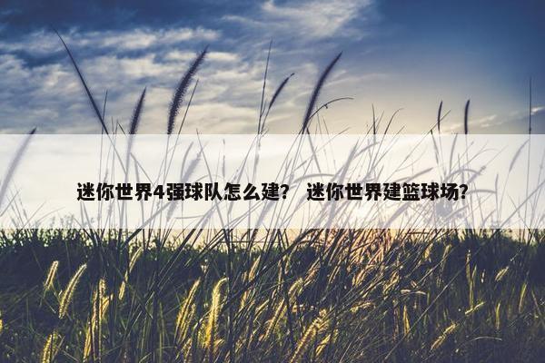 迷你世界4强球队怎么建？ 迷你世界建篮球场？