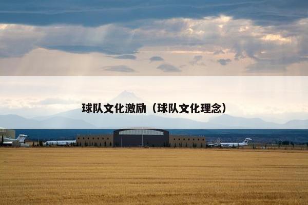 球队文化激励（球队文化理念）