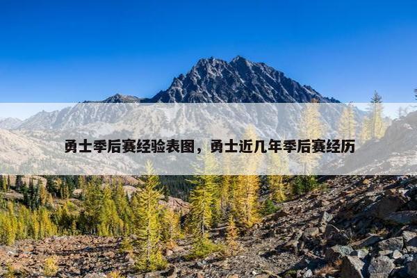 勇士季后赛经验表图，勇士近几年季后赛经历